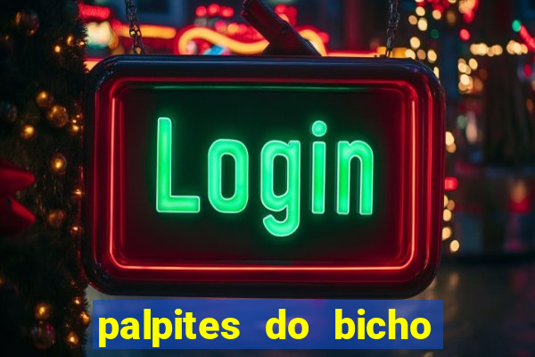 palpites do bicho no celular